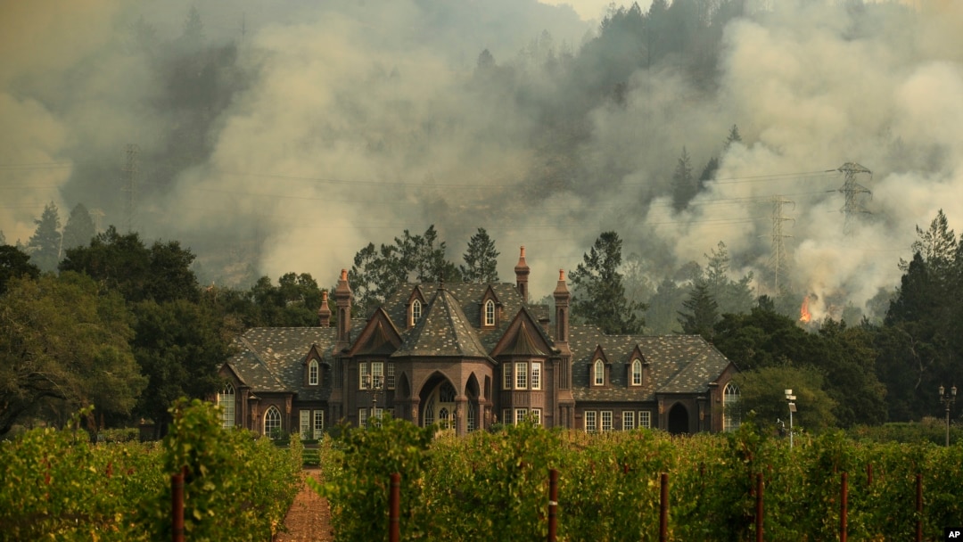 Api dari kebakaran hutan tampak dari kejauhan sebuah kebun anggur, 14 Oktober 2017 di Santa Rosa, California.