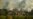 Unforgiving Wildfires Affect Vineyard Workers and Owners
