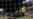 Empate en el amistoso de preparación entre EEUU y Brasil para la Copa América