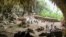 Penggalian arkeologis di gua Liang Bua di Flores. (Foto: Dok)