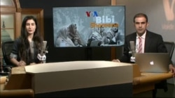 بي بي شیرینه – وي او اې ډيوه په ټیلې ویژن