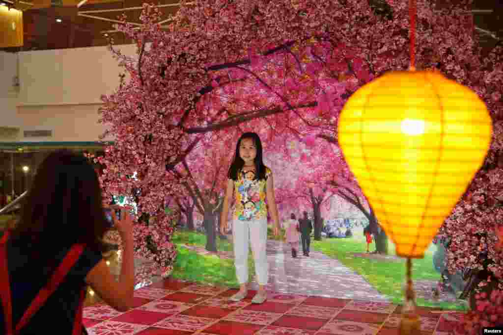 2018年2月14日，印度尼西亚雅加达 Ciputra 购物中心，农历新年装饰中，一个小孩留影，她在花中照，人在花中笑。