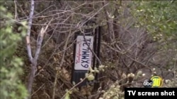 A screen capture from lacal news report showed a vechicle license plate lacated in a vicinity of a previous collision reported on July,26 2017.