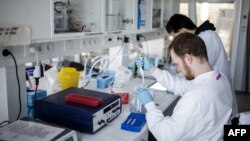 2020年3月23日研究人員在哥本哈根大學研究實驗室研發新型冠狀病毒(COVID-19)的疫苗。