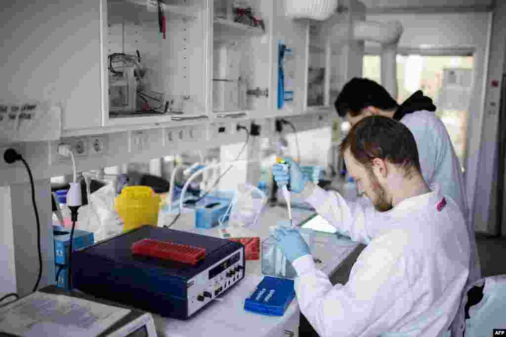 Researchers work on a vaccin against the new coronavirus at the Copenhagen&#39;s University research lab in Copenhagen, Denmark.