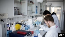 Researchers work on a vaccin against the new coronavirus COVID-19 at the Copenhagen's University research lab in Copenhagen, Denmark, on March 23, 2020. 