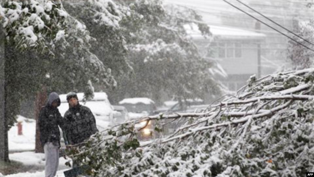 Bayron Zamora, right, 15, and Jarell Finley, 17, look at a down tree as heavy snow created issues with down lines and trees during a rare October snowstorm that hit the Northern New Jersey region, Saturday, Oct. 29, 2011, in Lodi, N.J. (AP Photo/Julio Cor