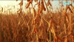 Настоящее Время. Америка – 6 марта 2019