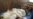 Afghan Girl Injured in Bombing Highlights UN Report on Civilian Casualties