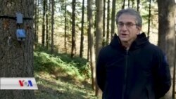 ئامێرێکی ئەلیکترۆنی بۆ ئاگادارکردنەوە لە دۆخی داری ناو دارستانەکان