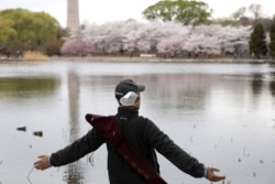 A man removes his mask to stretch and take a deep breath across from cherry blossoms at the Yuyuantan Park in Beijing on Thursday, March 26, 2020.