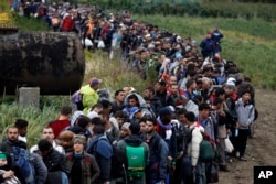 Migrants line up after crossing a border from Croatia near the village of Zakany, Hungary, Sept. 26, 2015.