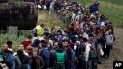 Migrants line up after crossing a border from Croatia near the village of Zakany, Hungary, Sept. 26, 2015.