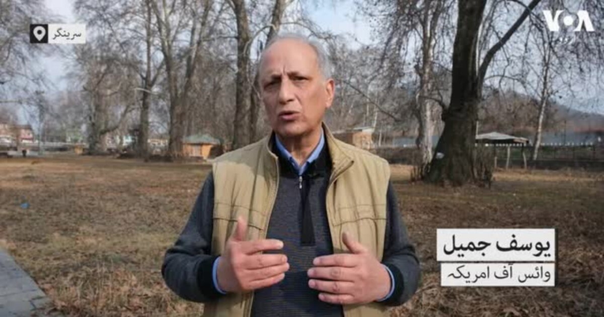 بھارتی کشمیر میں چنار کے درختوں کی جیو ٹیگنگ