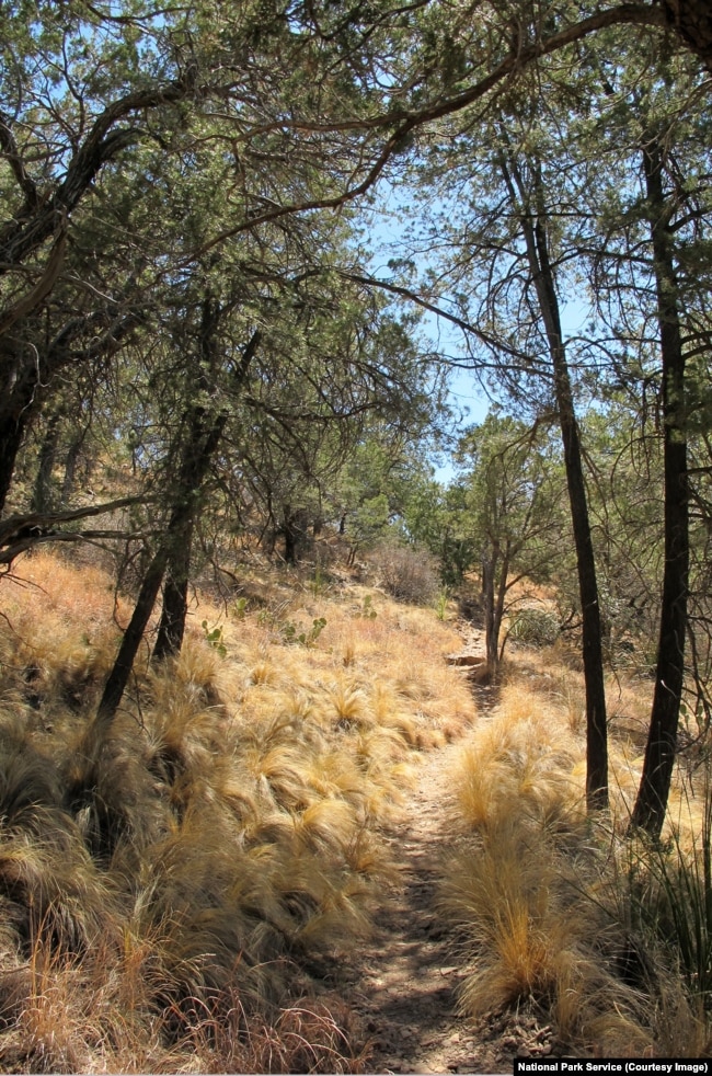 The Basin Loop Trail, Big Bend National Park