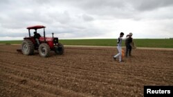 FILE - Farmers scatter wheat seeds on a field in the Makhmur district, southeast of Mosul, Jan. 8, 2015. 