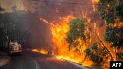 Kebakaran hutan di Australia akibat gelombang panas ekstrem (12/1). (Foto: DFES)