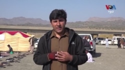 په شېراني او ږوب کې د ونو پرېکولو او د مرغانو د ښکار په ضد جرګه شوې