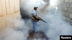 FILE - A health ministry worker fumigates a house to kill mosquitoes during a campaign against dengue and chikungunya and to prevent Zika infection in Managua, Nicaragua Oct. 27,2016.