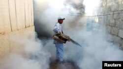FILE - A health ministry worker fumigates a house to kill mosquitoes during a campaign against dengue and chikungunya and to prevent Zika infection in Managua, Nicaragua, Oct. 27,2016.
