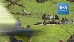 Des New-Yorkais se promènent dans un parc de Brooklyn