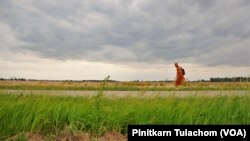 Buddhist monk Sutham Nateetong walks along the road outside Arcola, IN. June 8, 2019.