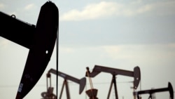 EE.UU. OPEP Reducción producción petróleo 