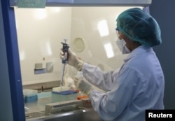 A scientist is testing a sample from the people, who is recently returned from South Korea and suspecting of MERS infection, inside a Sample Preparation lab, at the National Institute of Health Department of Medical Sciences in Nonthaburi province on the outskirts of Bangkok, Thailand, June 18, 2015.