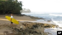 FILE - A surfer studies the waves at Wilderness Beach, in Aguadilla, a lush corner in northwest Puerto Rico.