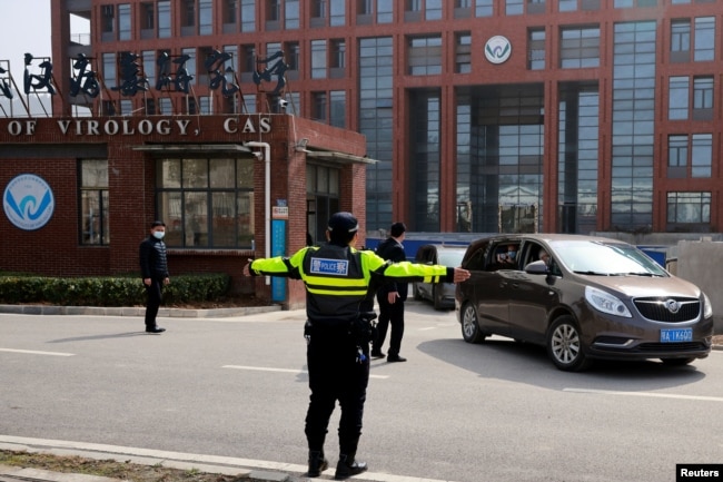 WHO ekibini taşıyan araçlar Wuhan Viroloji Enstitüsü'ne giriş yapıyor.