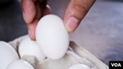 Debido a la contaminación por salmonella fueron retirados del mercado 380 millones de huevos.