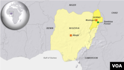 The military earlier this month announced it would be storming Sambisa Forest, northeastern Nigeria.