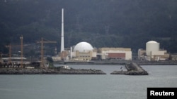 FILE : A general view of Angra dos Reis nuclear complex, located 240 km (150 miles) from Rio de Janeiro, in this Aug. 31, 2011 file photo.