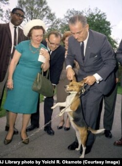 Снимок, опубликованный в журнале Time, возмутил многих любителей собак