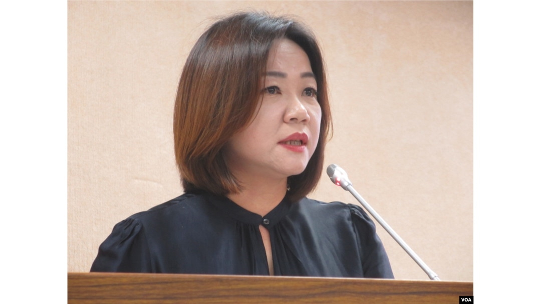 台湾在野党国民党立委马文君