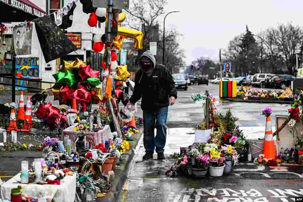 A man removes dead flowers from the temporary memorial of George Floyd before the third day of jury selection begins in the trial of former Minneapolis Police officer Derek Chauvin, who is accused of killing Floyd, in Minneapolis, Minnesota.