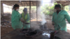 Mariam Keita, directrice de 'Binedou Global Service', et deux de ses employées remplissent les moules, à Conakry, le 5 février 2019. (VOA/Zakaria Camara)