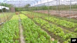 သဘာ၀ပတ္၀န္းက်င္ ထိန္းသိမ္းေရး ညီလာခံစတင္