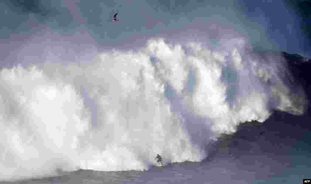 A surfer rides a wave off Praia do Norte (North Beach) near Nazare, central Portugal.