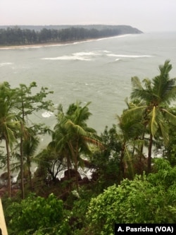 A growing number of people from Delhi have relocated to Goa, a palm fringed, coastal city.