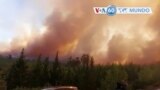 Manchetes mundo 2 Agosto: Turquia - Incêndios florestais continuam no sul do país pelo 6ºdia