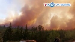 Manchetes mundo 2 Agosto: Turquia - Incêndios florestais continuam no sul do país pelo 6ºdia