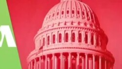 LIVETALK DIASPORA. FORUM