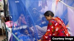ফাইল ছবি-ডেঙ্গু আক্রান্ত রোগী হাসপাতালে ভর্তি হয়েছেন