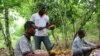 Oxfam: Ghana Cocoa Producers Cheated