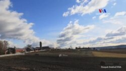 ԱՄՆ-ի որոշ նահանգներում տեղացիները մեծ քաղաքներն ընկալում են որպես քաոսային և բուն Ամերիկայի հետ կապ չունեցող վայրեր