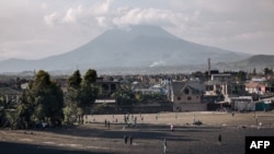 Situé dans l'est de la RDC, le parc national des Virunga couvre une partie du Nord-Kivu, surtout le long de la frontière avec le Rwanda et l'Ouganda.