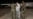 Lawsuit by US rights group seeks access to migrants sent to Guantanamo Bay