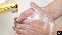 The FDA has banned 19 chemicals commonly found in antibacterial soaps.