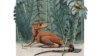 Study Suggests Dinosaurs May have Started as Very Small Creatures